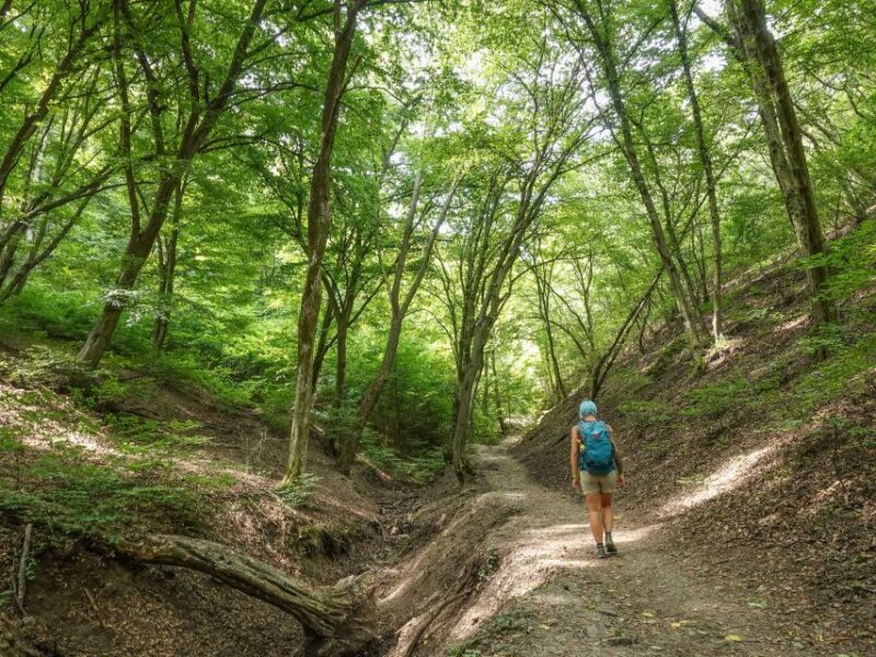 Danube Bend Hiking and Kayaking Adventure - Good To Know
