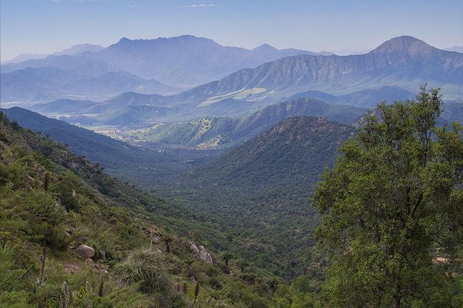 Darwins Route: Traversing the Chilean Palm Forest - Exploring the Coastal Mountain Range