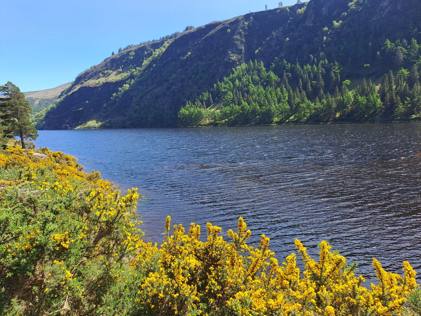 Day Car Trip Explore Amazing County Wicklow , Dublin-Wicklow - Good To Know