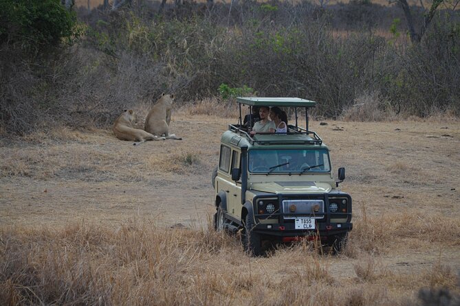 Day Safari Tour Selous Game Reserve - Good To Know