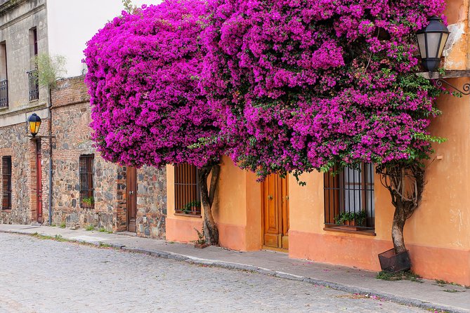 Day Tour in Colonia Del Sacramento - Good To Know