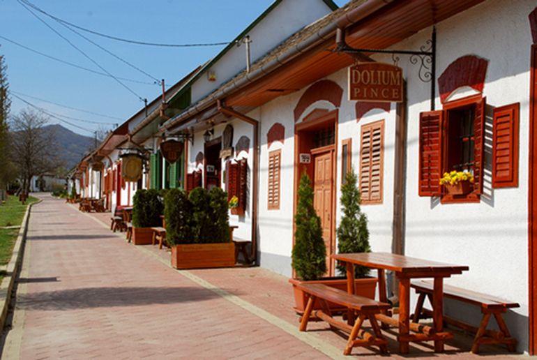Day Tour of Pécs and Siklós With Villány Wine Tasting - Good To Know