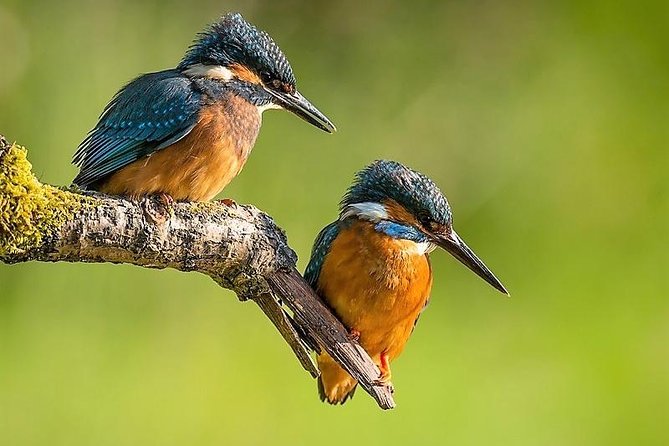 Day Tour to Anawilundawa Wetland Sanctuary - Good To Know
