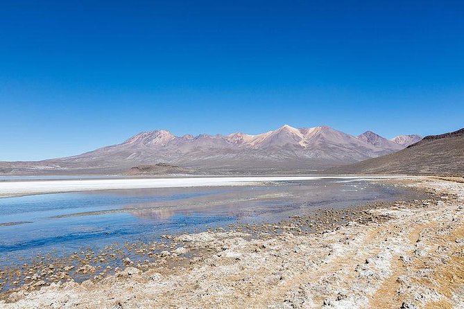 Day Tour to Laguna De Salinas - Good To Know