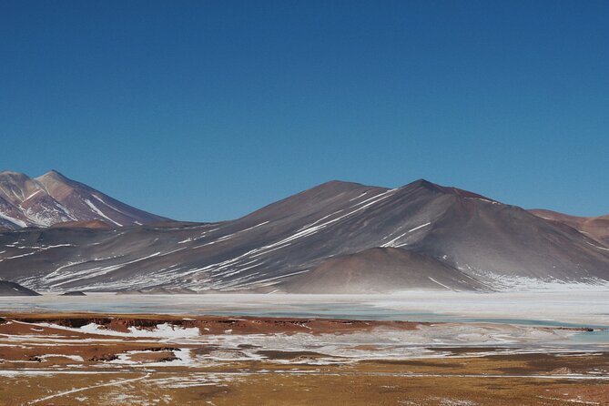 Day Tour to Piedras Rojas and Altiplanic and Chaxa Lagoons - Highlights of the Day