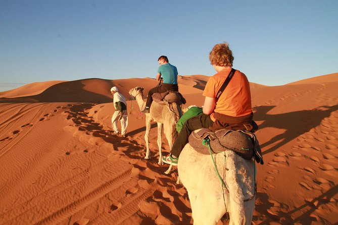 Day Trip to Erg Chigaga Dunes From Zagora - Good To Know