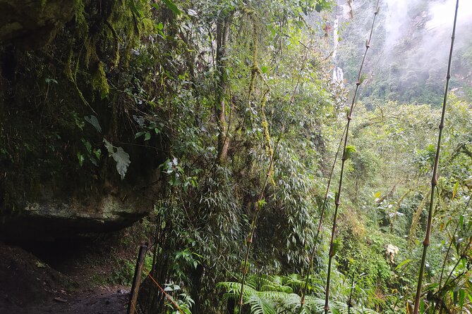 Day Trip to La Chorrera Park—Hiking Experience to Highest Waterfall in Colombia - About Your Stay