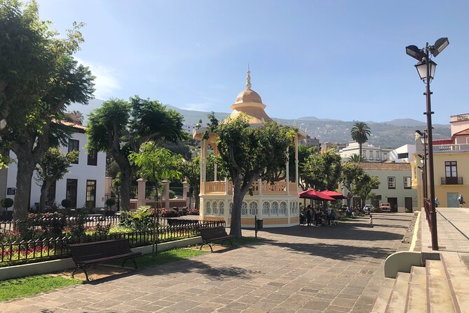 Day Trip to the Island of Tenerife - Tour Overview and Highlights