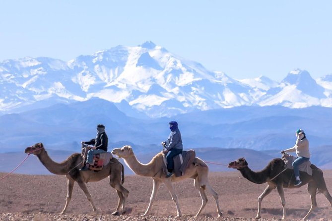 Day Trip:Berber Villages and 4 Valleys Atlas Mountains &Waterfu L& Camel Ride - Good To Know