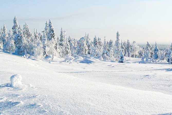 Deep Snow Powder Driving - Good To Know