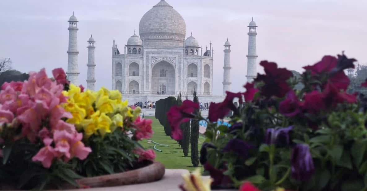 Delhi to Agra: From the Taj Mahal to Hidden Gems in 1 Day - Good To Know