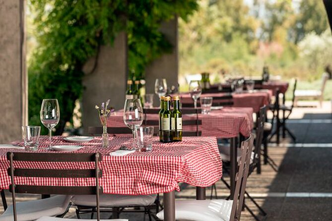 Deluxe Mendoza Half-Day Wine Tasting Tour - About Your Stay