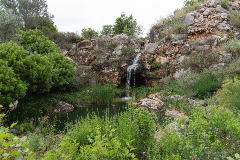 Denia: LAlbarda Garden Entry Ticket - Good To Know