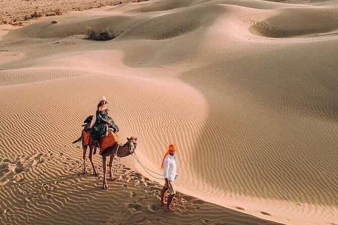 Desert Camel & Jeep Safari Private Tour From Jodhpur - Good To Know