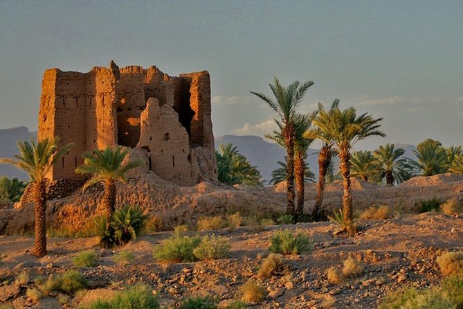 Desert Odyssey: a 2-Day Journey From Marrakech to Zagora - Good To Know