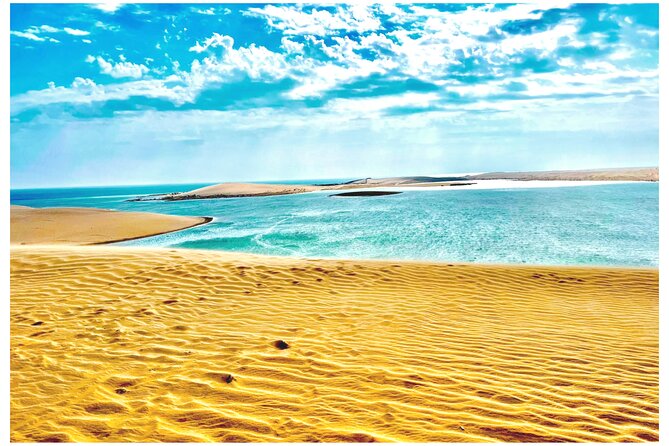 Desert Safari, Camel Ride, Sand Boarding, Inland Sea Visit COMBO - Good To Know