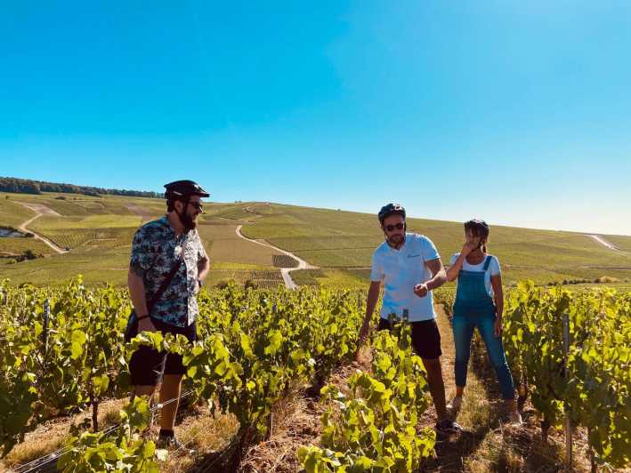 Dijon/Beaune: Full Day Ebike Burgundy Tour, Tastings & Lunch - Key Points