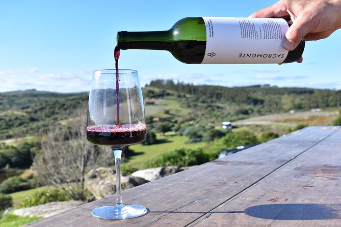Discover a Hidden Vineyard off the Beaten Track! - Good To Know