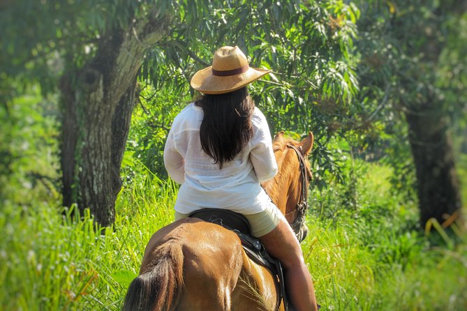 Discover a Nature Reserve on Horseback - Good To Know