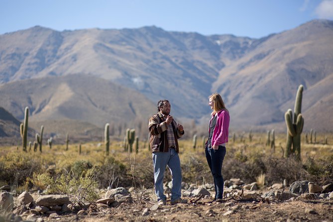 Discover Tafi Del Valle: Guided Journey - Good To Know