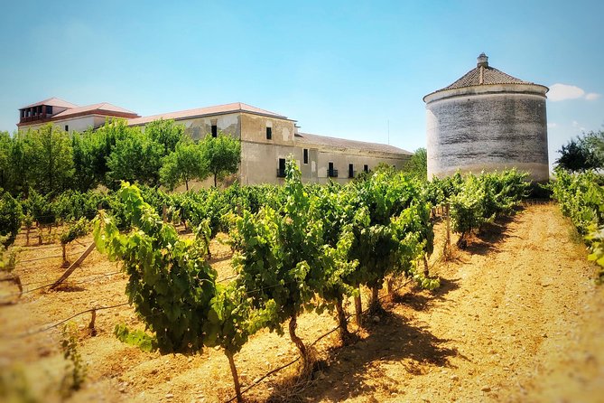 Discover the Authentic Wine Culture of Rueda - Tour Highlights