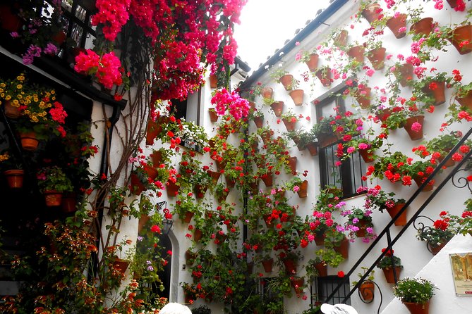 Discover the Patios of Córdoba: Guided Tour - Good To Know
