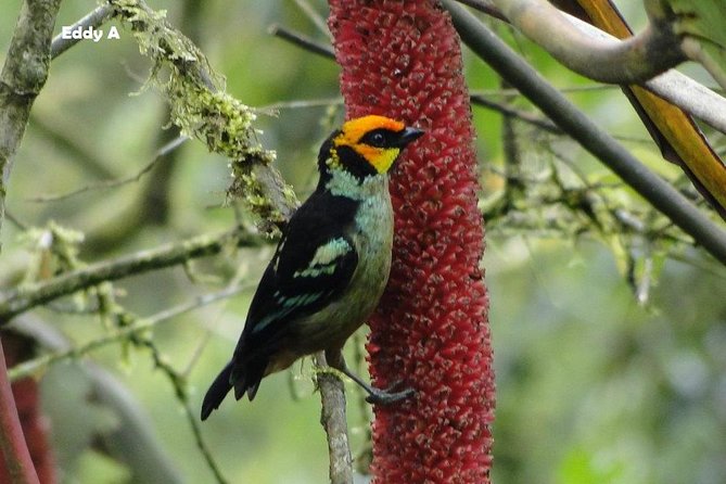 Discovering The World of Birds - About Your Stay