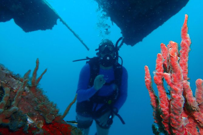 Diving Trip for Certified Divers. - Certification and Qualifications