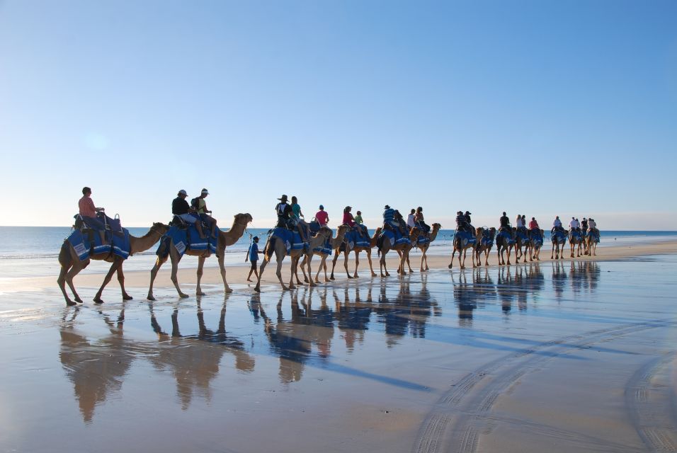 Djerba: Lagoon Camel Ride Experience - Good To Know