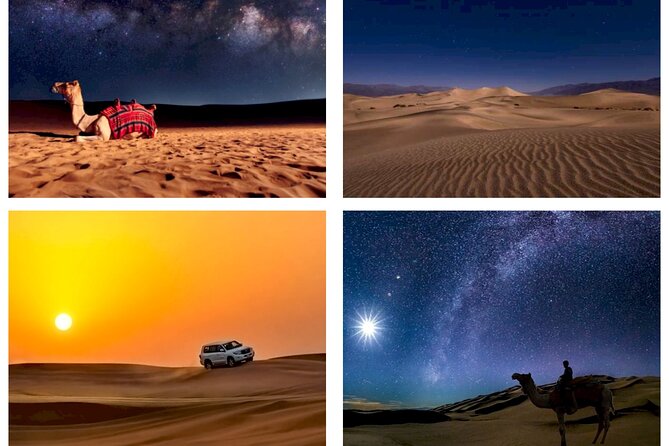 Doha : Night Desert Safari | Transit Safari | Camel Ride | Dune Bashing - Good To Know