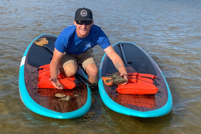 Dolphin and Manatee Tour of Marco Island by Kayak or SUP - Good To Know