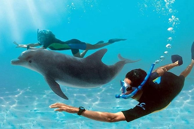 Dolphin House By Private Speed Boat & Drinks & Transfer-Hurghada - Good To Know