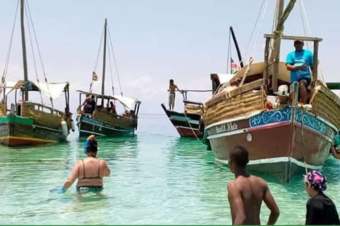 Dolphin Tour and Snorkeling in Kisite Marine Park / Wasini Island - Good To Know