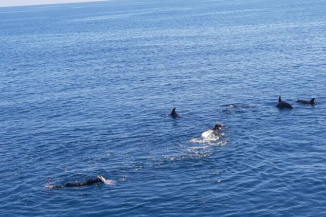 Dolphin Tour & Banana Boat Fun With Snorkeling From Hurghada - Good To Know