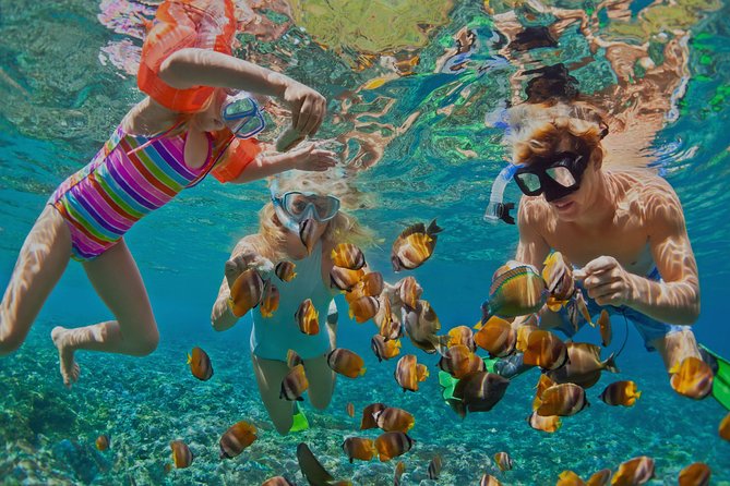 Dolphin Watching and Snorkeling Tour From Muscat - Good To Know