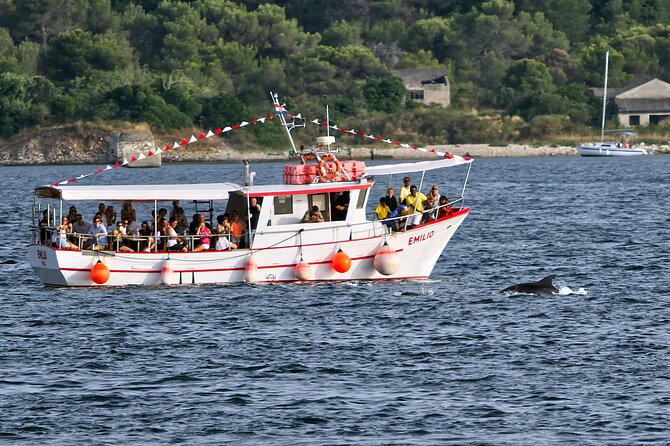 Dolphin Watching Sunset Boat Trip in Pula With Dinner - Good To Know