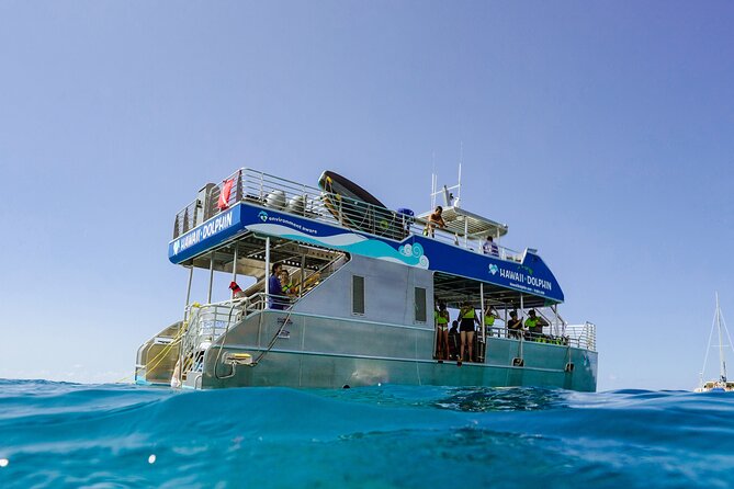 Dolphins, Turtle Snorkel, Waterslide Activities and Lunch in Oahu