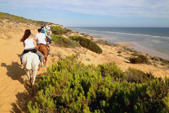 Donana National Park Horse or 4x4 Riding Day Trip - Good To Know