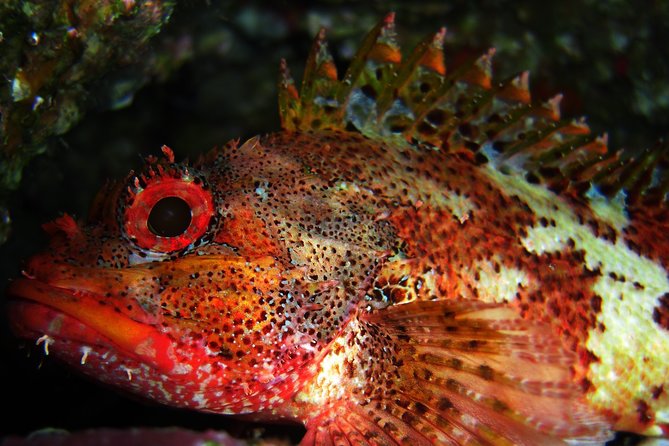 Double Scuba Diving - Diving Location and Reputation