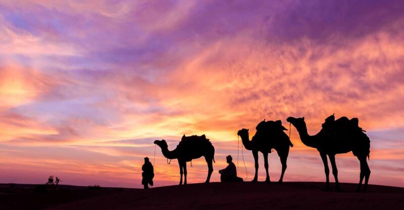 Douz: Camp Stay With Dinner, Sunset & Sunrise by Camel - Good To Know