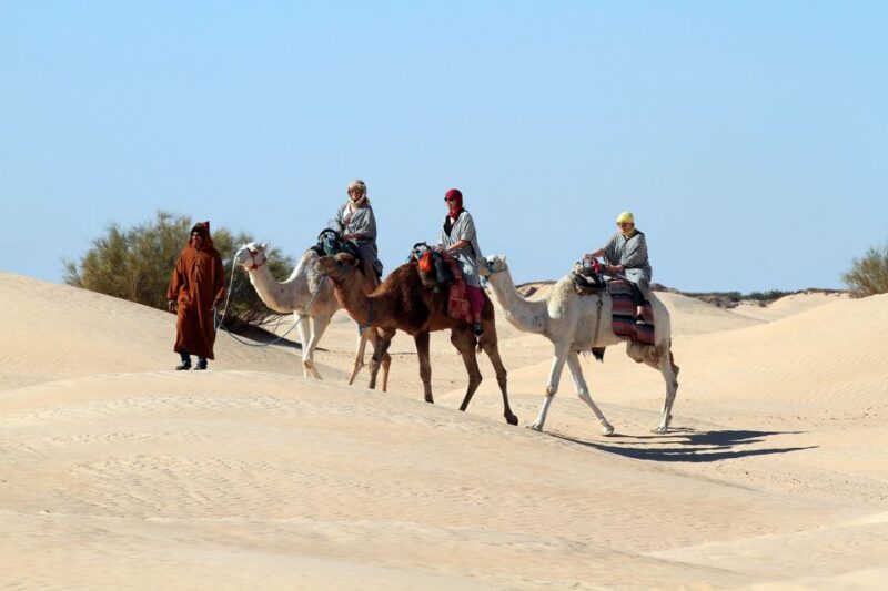 Douz: Sahara Desert Camel Trek With Lunch - Good To Know