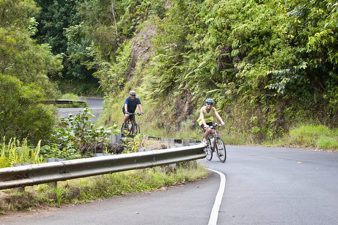 Downhill Bike and Koolau Waterfall Hike Tour - Good To Know