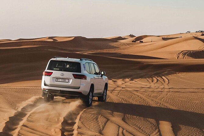 Dubai: Desert Safari 4x4 Dune With Camel Riding and Sandboarding - Good To Know