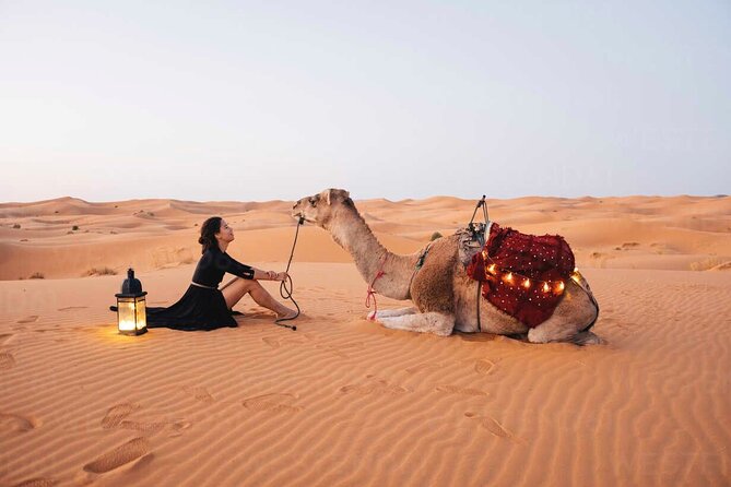 Dubai: Red Dunes Desert Safari, Camel Ride, Sandboard, Quad Bike - Good To Know