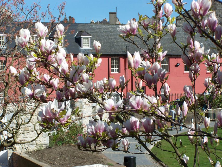 Dublin: Highlights and Hidden Corners Walking Tour - Good To Know