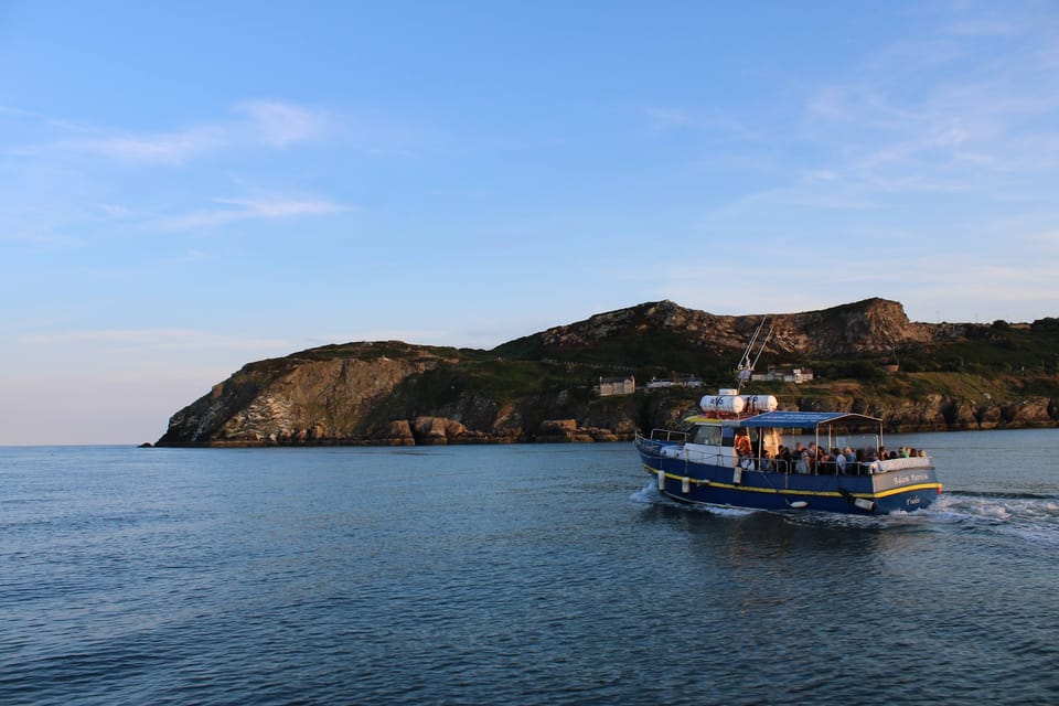 Dublin: Howth Lighthouse and Cliffs Boat Tour - Good To Know