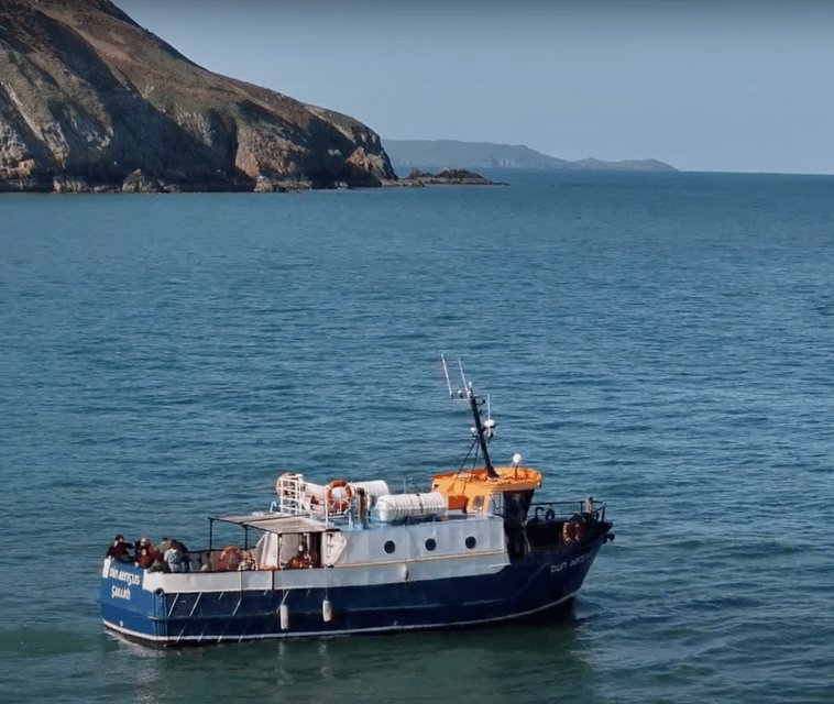 Dublin: Howth Lighthouse and Cliffs Boat Tour - Accessibility Features