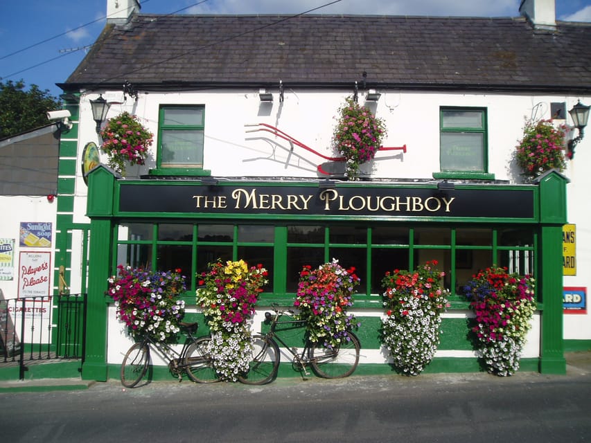 Dublin: Irish Night Show at the Merry Ploughboy Pub - Good To Know