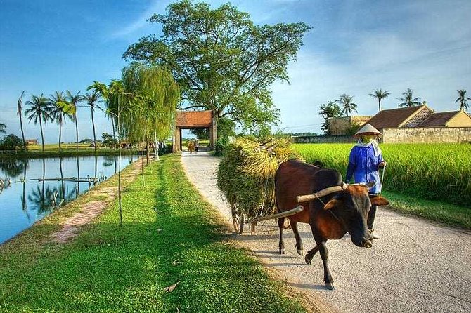 Duong Lam Ancient Village Full Day Tour From Hanoi & Experiencing Local Life - Good To Know
