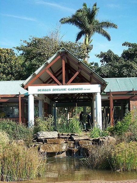 Durban Half-Day City Tour - Golden Mile, Botanical Gardens - Good To Know